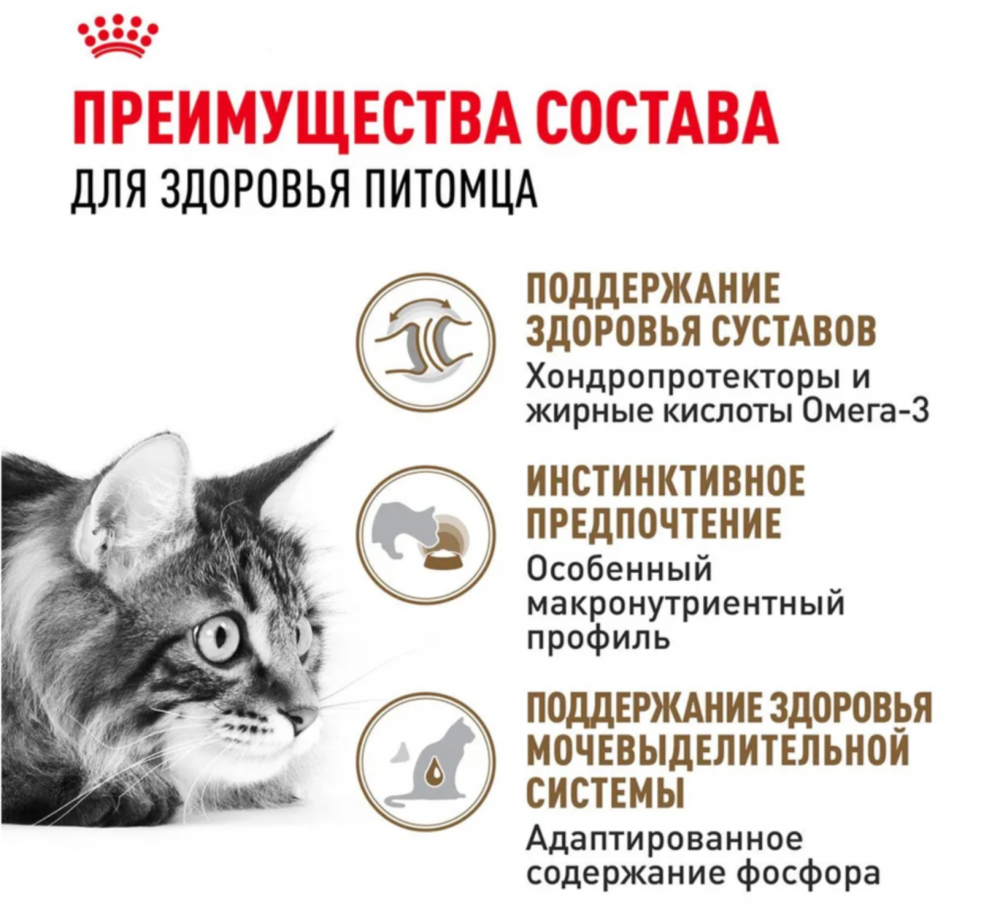 Влажный корм для кошек Royal Canin Ageing +12 кусочки в желе старше 12 лет 85 г