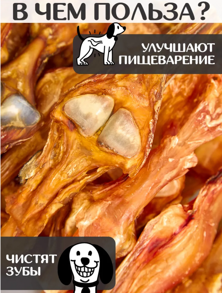 Лакомства For Rodent Dog конское сухожилие 20nсм 100 г С КОСТЬЮ для собак