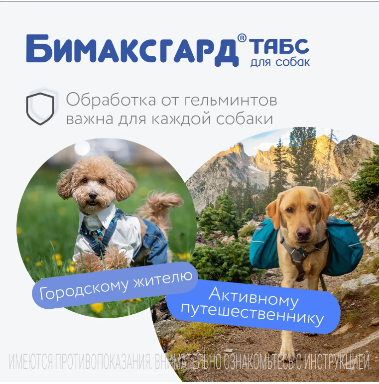 Бимаксгард&reg; ТАБС для крупных собак, 2 таб